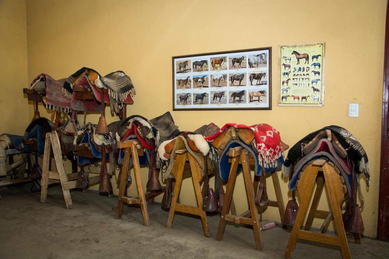 Estancia La Estela Lago Viedma Ngoại thất bức ảnh